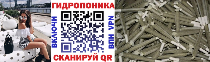 Марихуана Amnesia  Бородино 